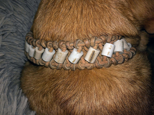 Help and advice for you and your pets, to live a natural life.