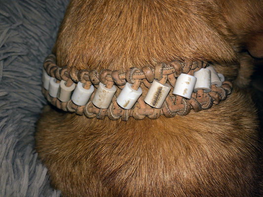 How to keep your EM Collar clean