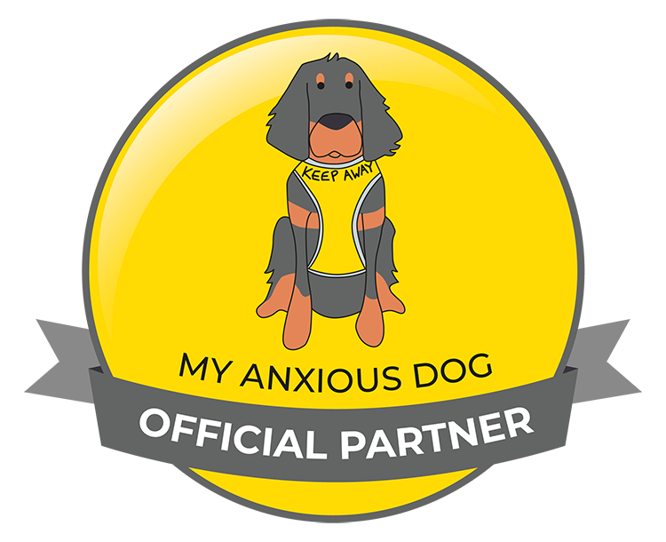 My Anxious Dog