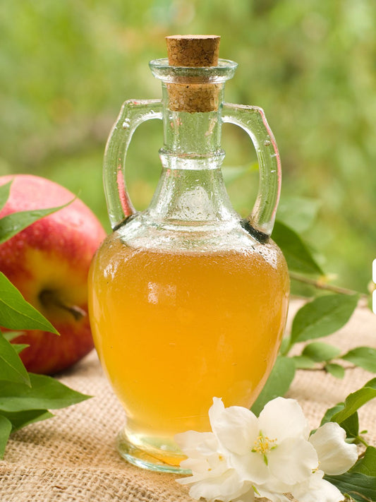 The Benefits of Apple Cider Vinegar for Dogs