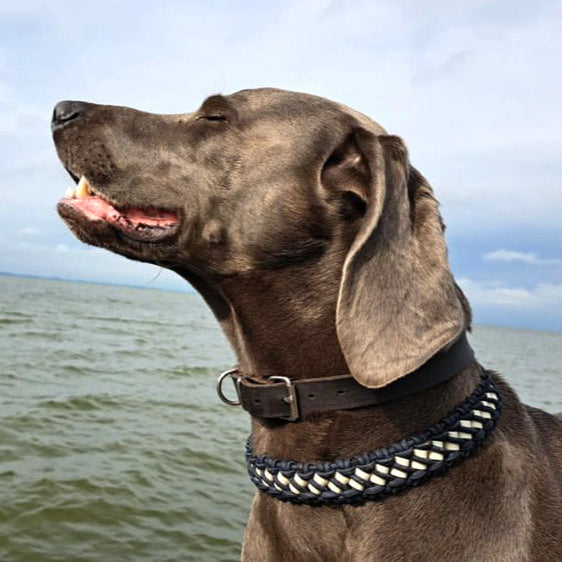 Wide EM Bead and Cork Dog Collar