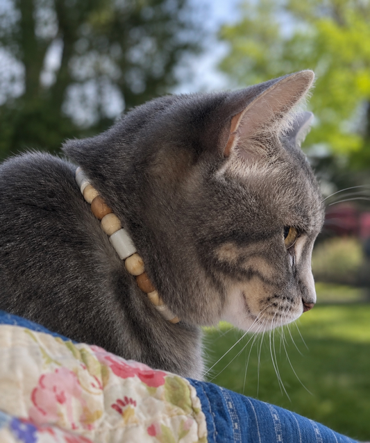 EM Cat Collar