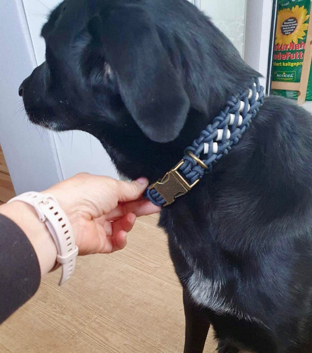 Wide EM Bead and Cork Dog Collar